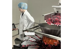 Confectionery packaging machinery.